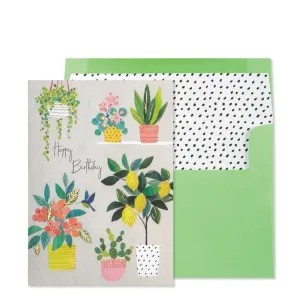 Lemon Tree and Plants Birthday Card