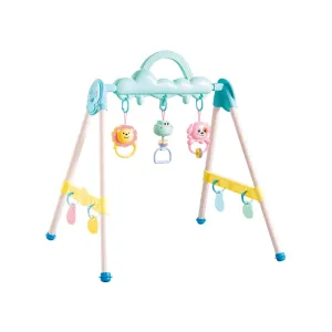 Baby Cognitive Development and Early Learning Fitness Rack