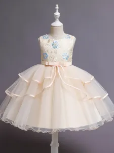 Toddler Girl Elegant  Multi-layeredTropical Flower Costume Dress #1069257