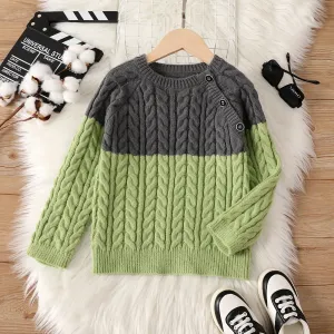 Kid Boy Trendy Colorblock Button Design Sweater #1062156
