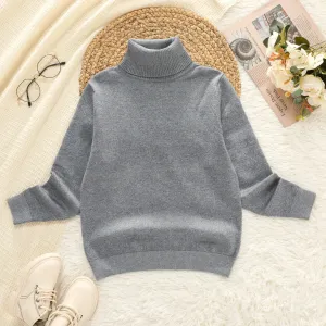 Kid Boy Turtleneck Solid Color Sweater #1025997