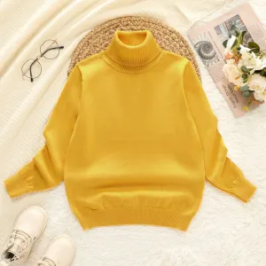 Kid Boy Turtleneck Solid Color Sweater #1026002
