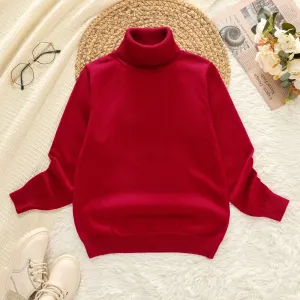 Kid Boy Turtleneck Solid Color Sweater #1026008