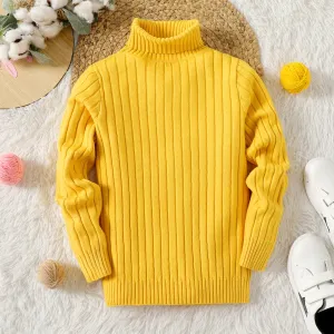 Kid Girl Solid Color Ribbed Turtleneck Sweater #208110