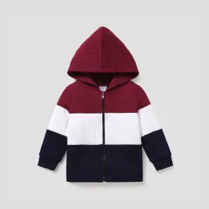 Toddler Boy Solid Fabric Stitching Hooded Pullover #1193192