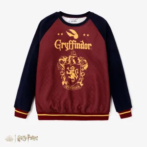 Harry Potter matching Color Block Large Pattern Long-sleeve Crew Neck Sweatshirt #1316319