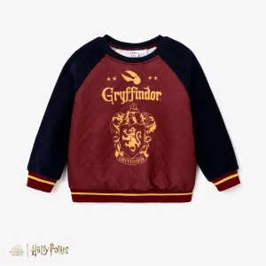 Harry Potter matching Color Block Large Pattern Long-sleeve Crew Neck Sweatshirt #1316321