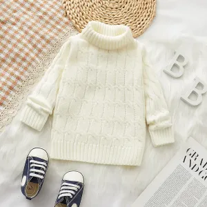 Toddler Boy/Girl Basic Textured Turtleneck Sweater #1067692