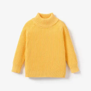 Toddler Girl/Toddler boy Turtleneck Sweater #1083468
