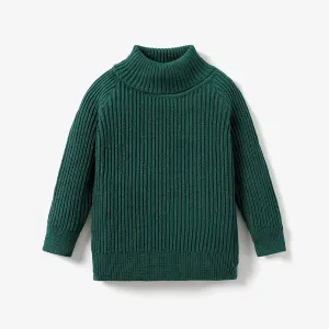 Toddler Girl/Toddler boy Turtleneck Sweater #1083493