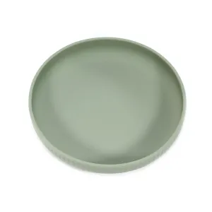 Non-BPA Silicone Striped Kids Plate for Mealtime #1196220