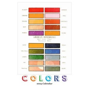 Colors Poster 2023 Wall Calendar