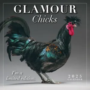 Glamour Chicks 2025 Mini Wall Calendar