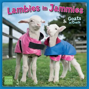 Lambies in Jammies 2025 Wall Calendar