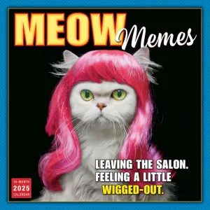 Meow Memes 2025 Wall Calendar