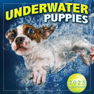 Underwater Puppies By Seth Casteel 2025 Mini Wall Calendar