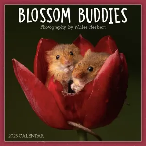 Blossom Buddies By Herbert 2023 Mini Wall Calendar