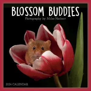 Blossom Buddies By Herbert 2024 Mini Wall Calendar