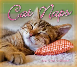 Cat Naps 2023 Desk Calendar