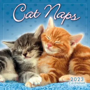 Cat Naps 2023 Mini Wall Calendar