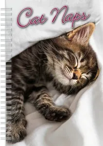 Cat Naps 2023 Planner