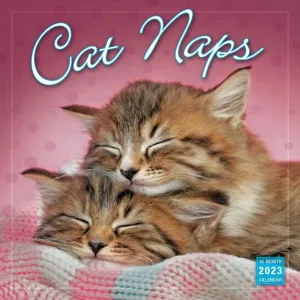 Cat Naps 2023 Wall Calendar #16606