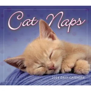 Cat Naps 2024 Desk Calendar