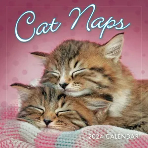Cat Naps 2024 Mini Wall Calendar