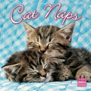 Cat Naps 2024 Wall Calendar #869519