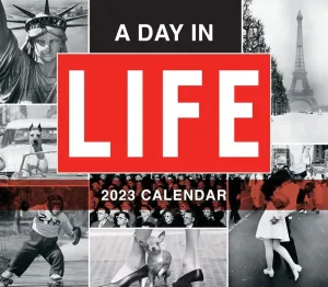Day In Life 2023 Desk Calendar