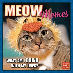 Meow Memes 2023 Wall Calendar