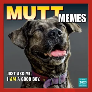 Mutt Memes 2023 Wall Calendar