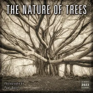 Nature of Trees 2023 Wall Calendar