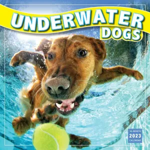 Underwater Dogs 2023 Wall Calendar
