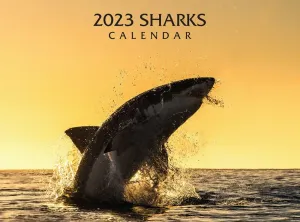 Sharks 2023 Wall Calendar #16655