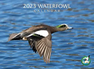 Waterfowl 2023 Wall Calendar #16657