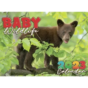 Baby Wildlife 2023 Wall Calendar
