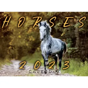 Horses 2023 Wall Calendar #14329