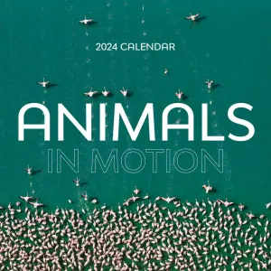 Animals In Motion 2024 Wall Calendar