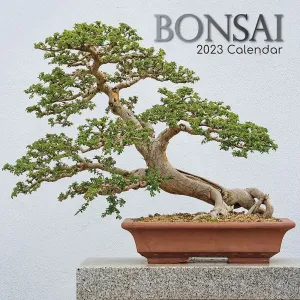 Bonsai 2023 Wall Calendar