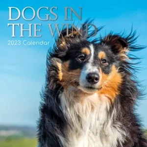 Dogs in the Wind 2023 Wall Calendar