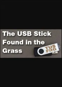 The USB Stick Found in the Grass (PC) Steam Key GLOBAL