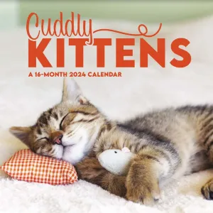 Kittens 2024 Mini Wall Calendar #901642