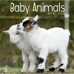 Baby Animals 12X12 2023 Photo Wall Calendar