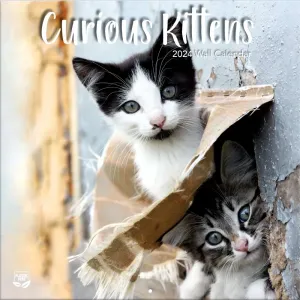 Curious Kittens 2024 Wall Calendar