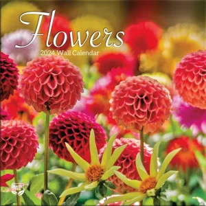 Flowers 2024 Mini Wall Calendar #1001934