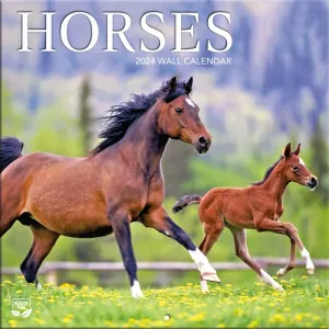 Horses 2024 Mini Wall Calendar #960426