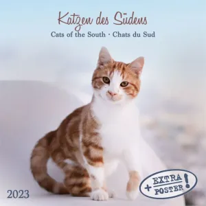 Cats of the South 2023 Small Wall Calendar