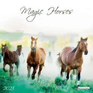 Magic Horses Tushita 2023 Wall Calendar