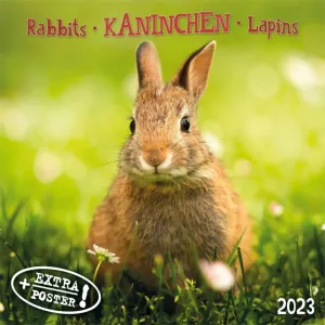 Rabbits Tushita 2023 Wall Calendar